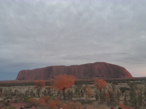 Uluru sunrise